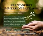 Sacred Immersion Session Packages Information